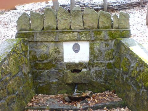 The source of the Wien River in Lower Austria