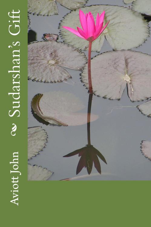Sudarshans_Gift_Cover_for_Kindlejpg