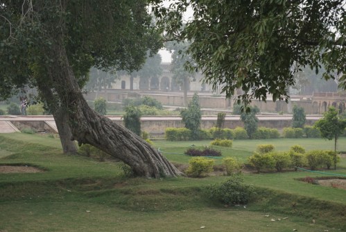 A timeless pleasure garden in a forgotten palace