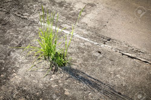 Image courtesy 123rf.com